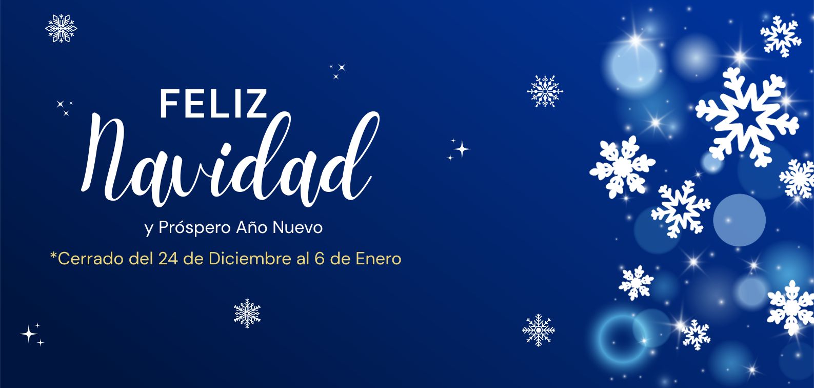 STECA VACACIONES NAVIDAD 2025